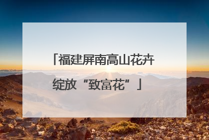 福建屏南高山花卉绽放“致富花”