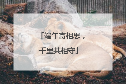 端午寄相思，千里共相守