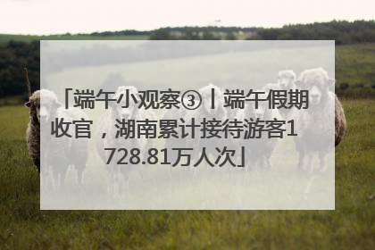 端午小观察③丨端午假期收官，湖南累计接待游客1728.81万人次