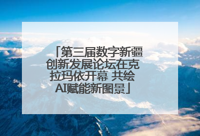 第三届数字新疆创新发展论坛在克拉玛依开幕 共绘AI赋能新图景