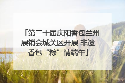 第二十届庆阳香包兰州展销会城关区开展 非遗香包“粽”情端午