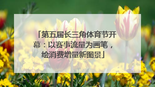 第五届长三角体育节开幕：以赛事流量为画笔，绘消费增量新图景