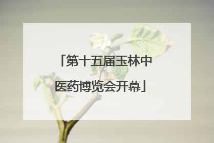 第十五届玉林中医药博览会开幕