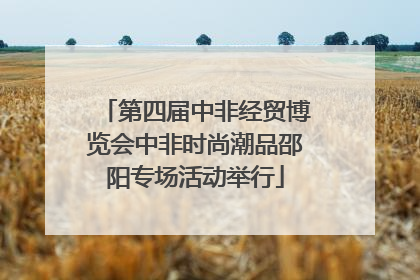 第四届中非经贸博览会中非时尚潮品邵阳专场活动举行