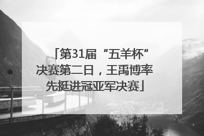 第31届“五羊杯”决赛第二日，王禹博率先挺进冠亚军决赛