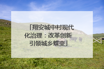 翔安城中村现代化治理：改革创新引领城乡蝶变