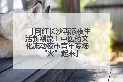 网红长沙再添夜生活新潮流！中医药文化流动夜市青年专场“火”起来