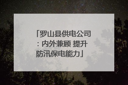 罗山县供电公司：内外兼顾 提升防汛保电能力