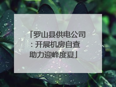 罗山县供电公司：开展机房自查 助力迎峰度夏