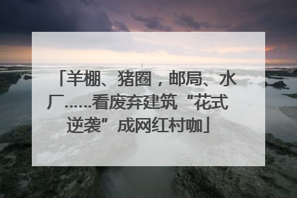 羊棚、猪圈，邮局、水厂……看废弃建筑“花式逆袭”成网红村咖