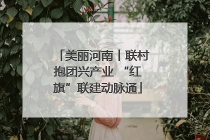 美丽河南丨联村抱团兴产业 “红旗”联建动脉通