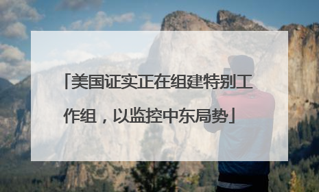 美国证实正在组建特别工作组，以监控中东局势