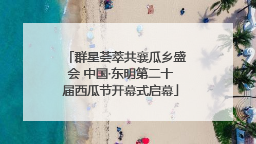 群星荟萃共襄瓜乡盛会 中国·东明第二十届西瓜节开幕式启幕