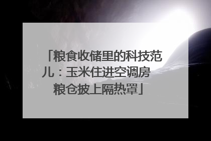 粮食收储里的科技范儿：玉米住进空调房 粮仓披上隔热罩