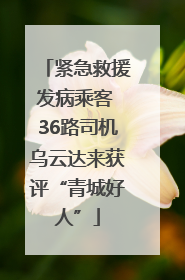 紧急救援发病乘客 36路司机乌云达来获评“青城好人”