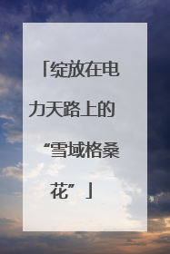 绽放在电力天路上的“雪域格桑花”