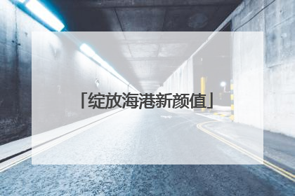 绽放海港新颜值