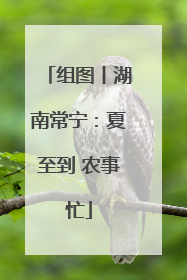 组图丨湖南常宁：夏至到 农事忙
