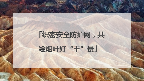 织密安全防护网，共绘烟叶好“丰”景