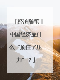 经济随笔丨中国经济靠什么“顶住了压力”？