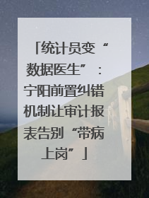 统计员变“数据医生”：宁阳前置纠错机制让审计报表告别“带病上岗”
