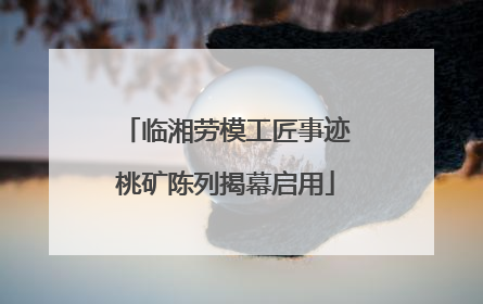 临湘劳模工匠事迹桃矿陈列揭幕启用
