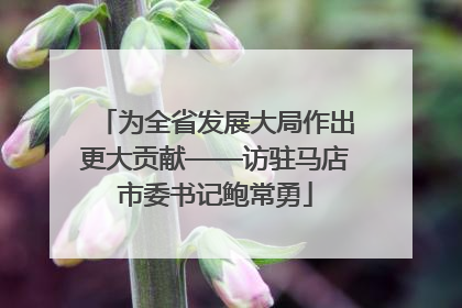 为全省发展大局作出更大贡献——访驻马店市委书记鲍常勇