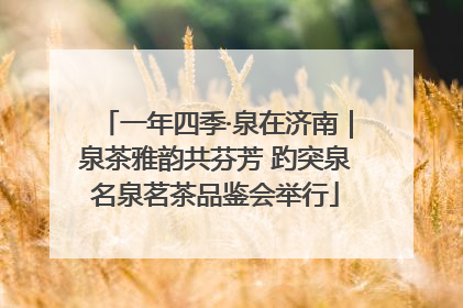 一年四季·泉在济南｜泉茶雅韵共芬芳 趵突泉名泉茗茶品鉴会举行