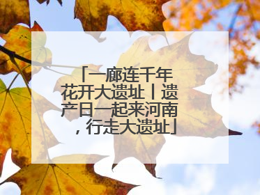 一廊连千年 花开大遗址丨遗产日一起来河南，行走大遗址
