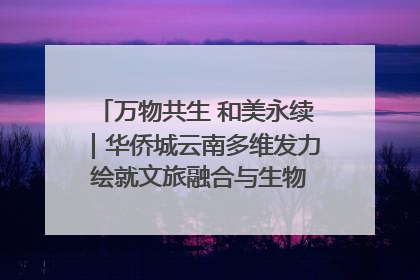万物共生 和美永续｜华侨城云南多维发力 绘就文旅融合与生物多样性保护新图景