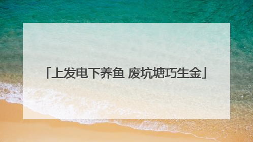 上发电下养鱼 废坑塘巧生金