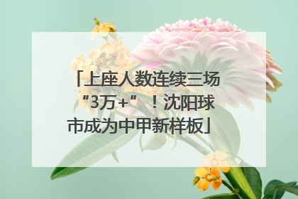 上座人数连续三场“3万+”！沈阳球市成为中甲新样板