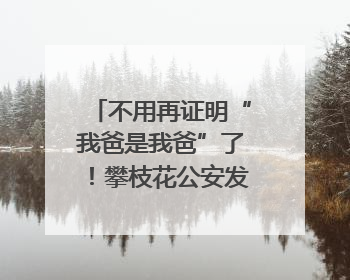 不用再证明“我爸是我爸”了！攀枝花公安发出四川首张“户籍人口直系亲属关系谱”