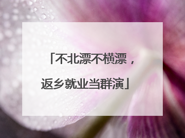 不北漂不横漂，返乡就业当群演