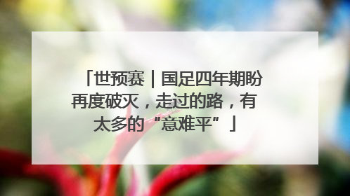 世预赛｜国足四年期盼再度破灭，走过的路，有太多的“意难平”
