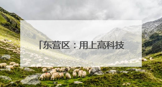 东营区：用上高科技 农民“慧”种地