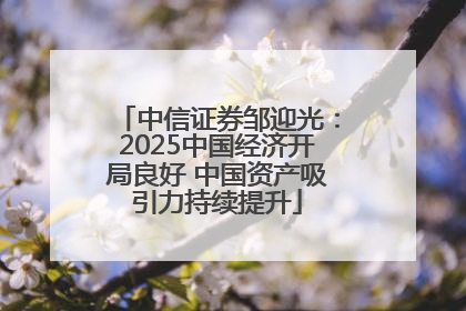 中信证券邹迎光：2025中国经济开局良好 中国资产吸引力持续提升