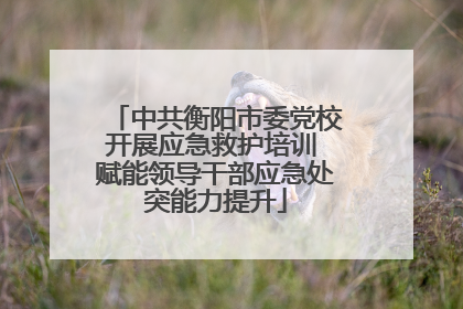 中共衡阳市委党校开展应急救护培训 赋能领导干部应急处突能力提升
