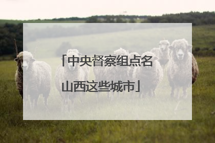 中央督察组点名山西这些城市
