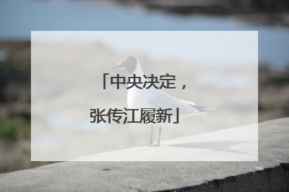 中央决定，张传江履新