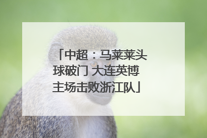 中超：马莱莱头球破门 大连英博主场击败浙江队