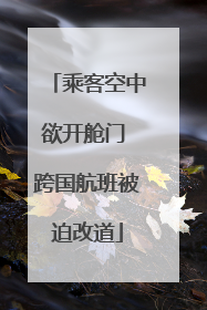 乘客空中欲开舱门 跨国航班被迫改道