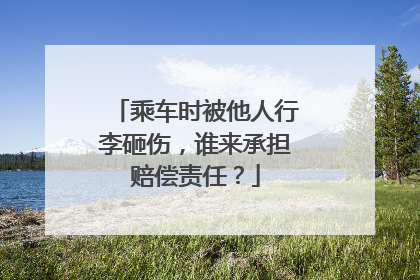 乘车时被他人行李砸伤，谁来承担赔偿责任？