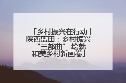 乡村振兴在行动丨陕西蓝田：乡村振兴 “三部曲” 绘就和美乡村新画卷