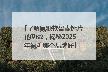 了解氨糖软骨素钙片的功效，揭秘2025年氨糖哪个品牌好