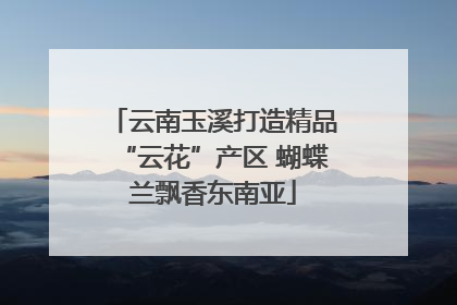 云南玉溪打造精品“云花”产区 蝴蝶兰飘香东南亚