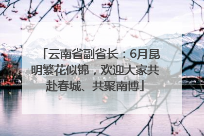 云南省副省长：6月昆明繁花似锦，欢迎大家共赴春城、共聚南博