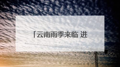 云南雨季来临 进入一年一度吃菌季