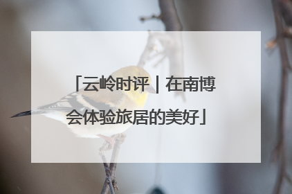 云岭时评｜在南博会体验旅居的美好