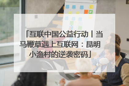 互联中国公益行动丨当马鞭草遇上互联网：昆明小渔村的逆袭密码